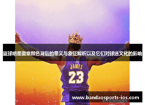 篮球明星徽章颜色背后的意义与象征解析以及它们对球迷文化的影响