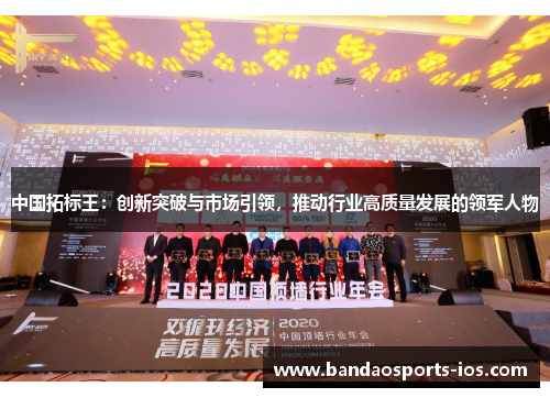 中国拓标王：创新突破与市场引领，推动行业高质量发展的领军人物