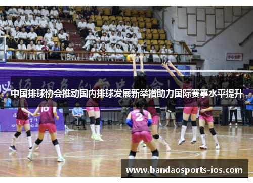 中国排球协会推动国内排球发展新举措助力国际赛事水平提升