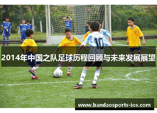 2014年中国之队足球历程回顾与未来发展展望