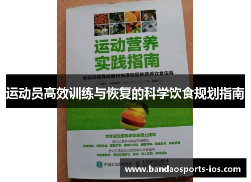 运动员高效训练与恢复的科学饮食规划指南
