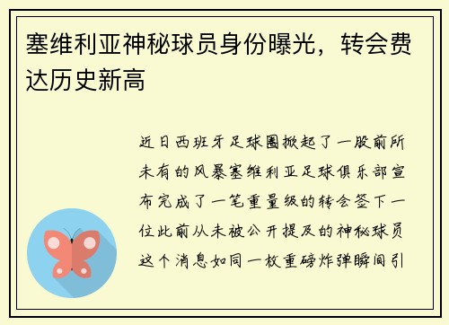 塞维利亚神秘球员身份曝光，转会费达历史新高