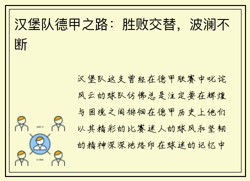 汉堡队德甲之路：胜败交替，波澜不断